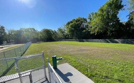 dog park run - Copy